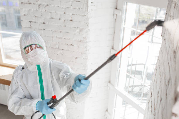 Best Mold Remediation for Healthcare Facilities  in Loch Lomond, VA