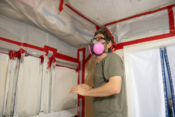 Best Attic Mold Removal  in Loch Lomond, VA